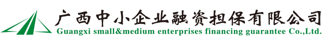 廣西中小企業融資擔保有限公司